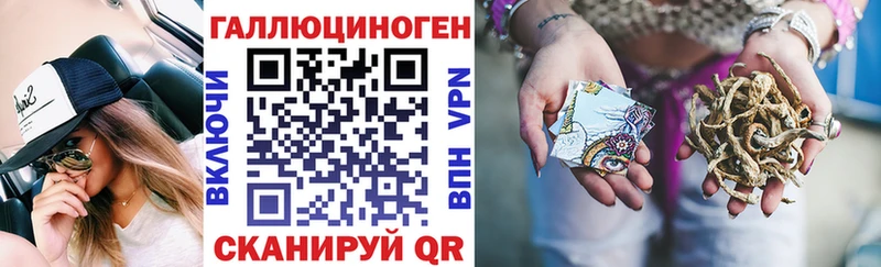 Купить где  Каргат  Галлюциногенные грибы MAGIC MUSHROOMS 